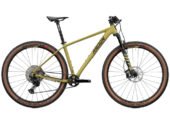 2024 Radon Jealous Al 10.0 Mountain Bike (KINGCYCLESPORT)