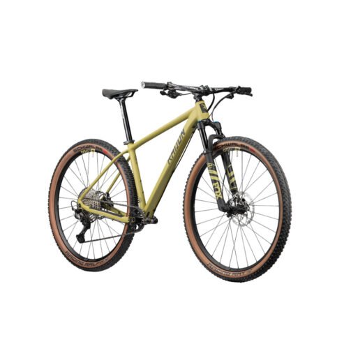 2024 Radon Jealous Al 10.0 Mountain Bike (KINGCYCLESPORT)